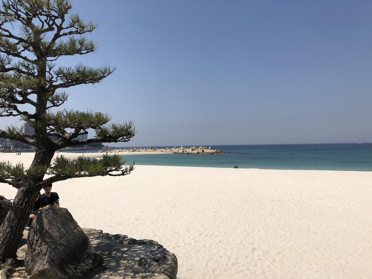 長楽園 Vila Shirahama Exterior foto
